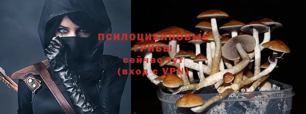 соль ск Алзамай