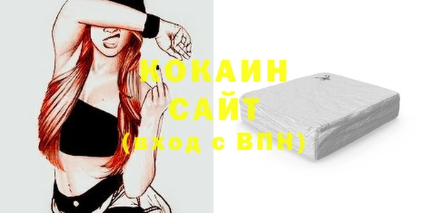 соль ск Алзамай