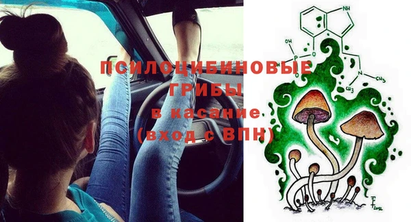 соль ск Алзамай