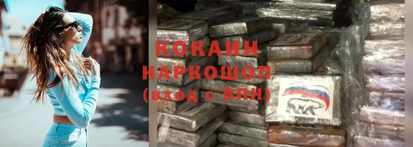 соль ск Алзамай