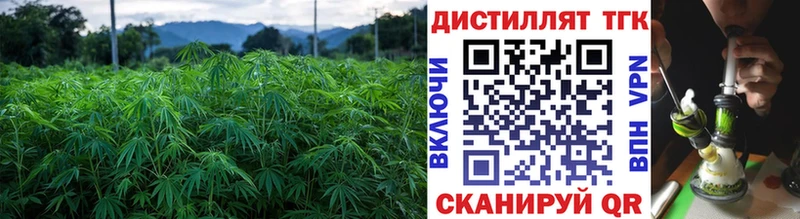 купить закладку  Усть-Лабинск  Дистиллят ТГК Wax 